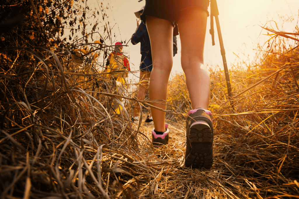 Here’s where you can find the best hikes near Dallas