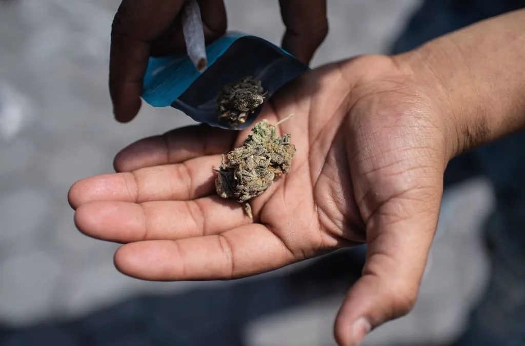 Dallas voters could decriminalize weed in November