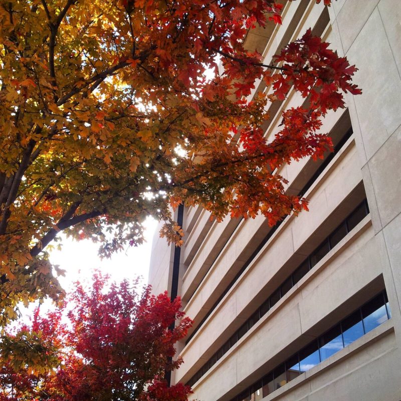 Dallas Public Library