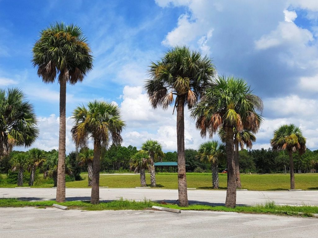 Op-Ed: What I want North Texas to know about border towns