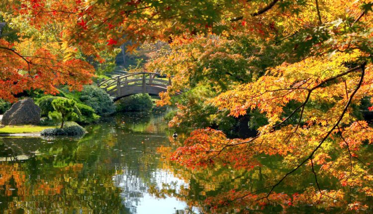The best places to see fall foliage in Texas