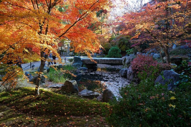 Discover Fort Worth’s 9 sister cities (in 9 different countries!)