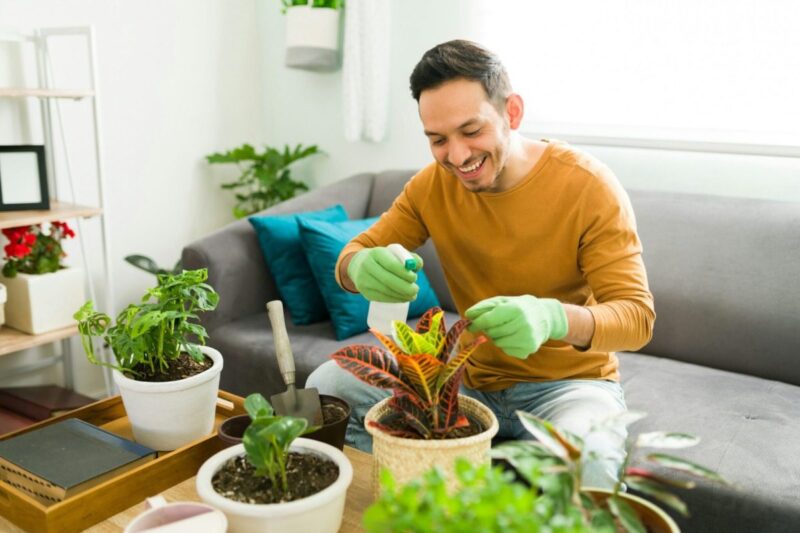 Container Gardening 101: Everything Texas Gardeners Need to Know