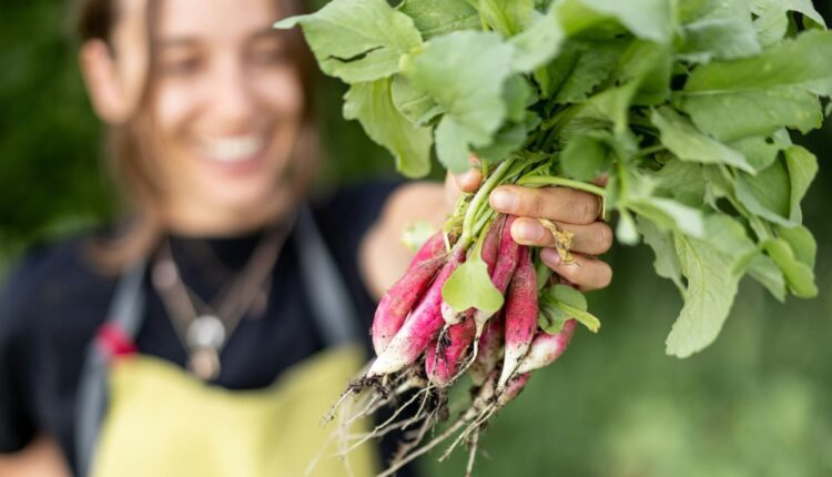 What grows best in Texas? Here’s your ultimate gardening guide