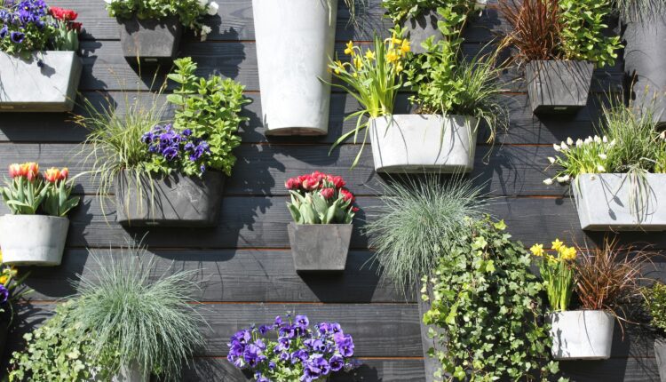 Container Gardening 101: Everything Texas Gardeners Need to Know