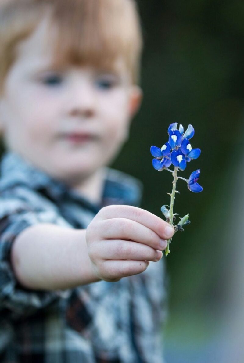 What grows best in Texas? Here’s your ultimate gardening guide