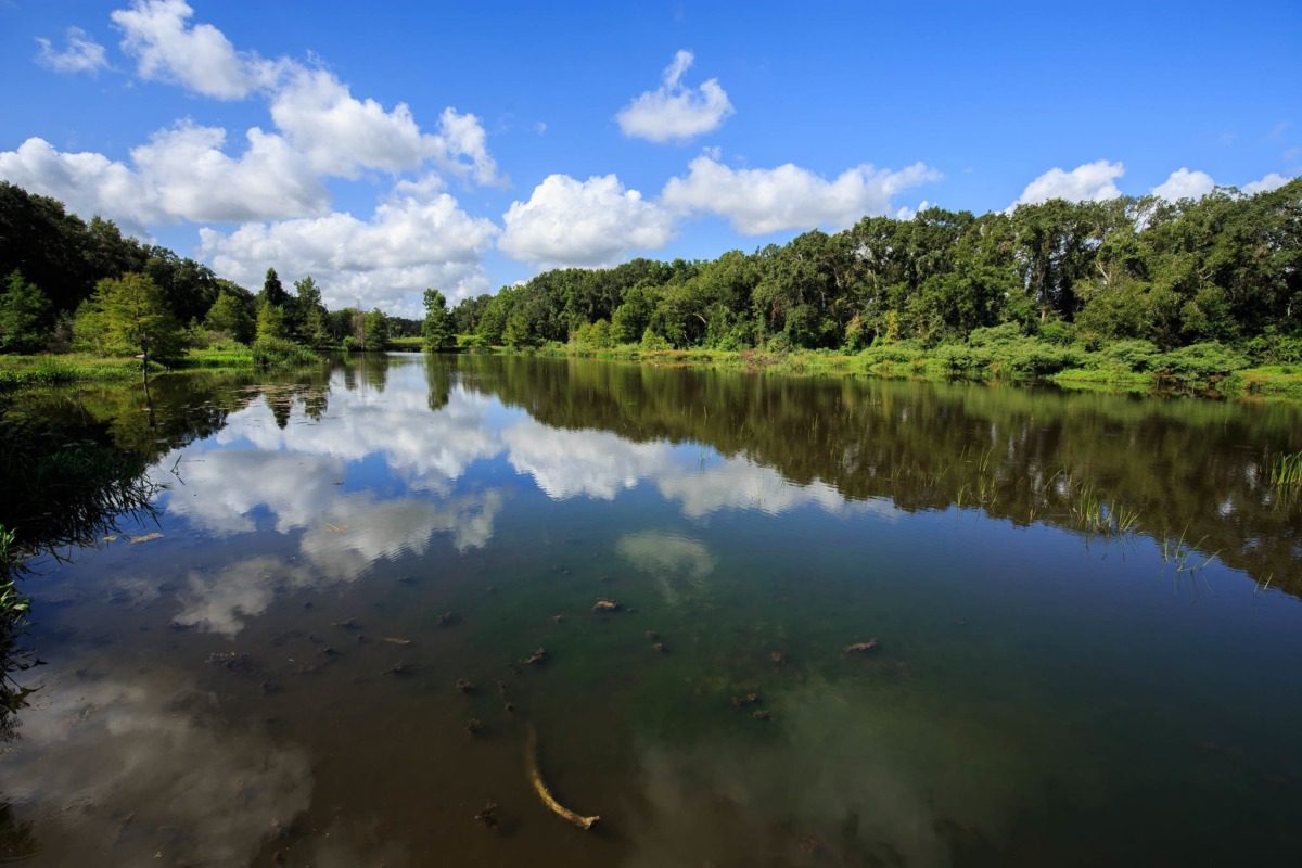 Brazos Bend State Park 