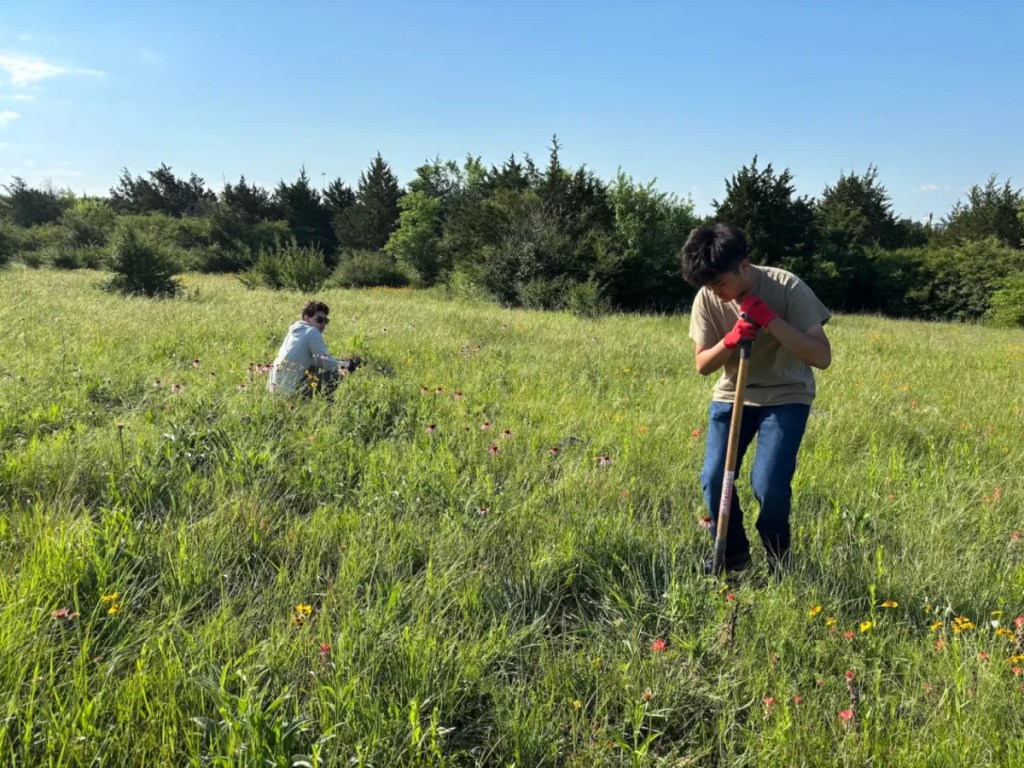 The guerrilla campaign to save a Texas prairie from ‘silent extinction’