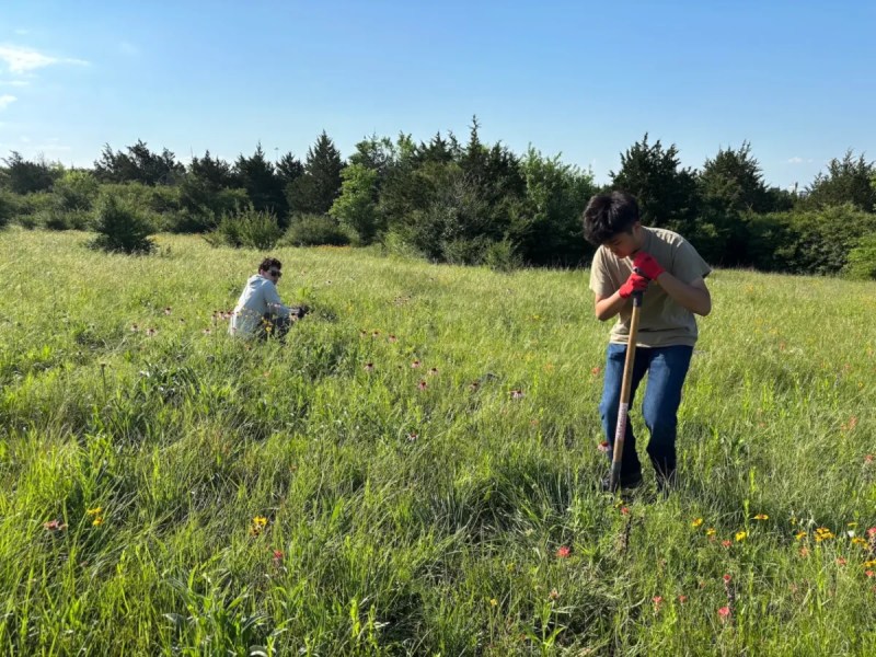 two young men work in a field