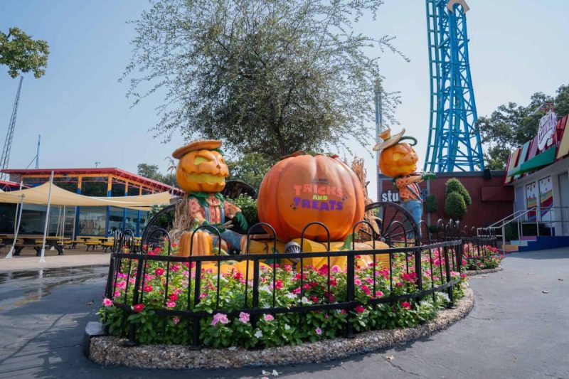 There are many fabulous Halloween events in North Texas that’ll give you a taste for all things eerie, scary, and strange.