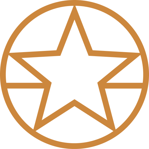 Courier Texas logo