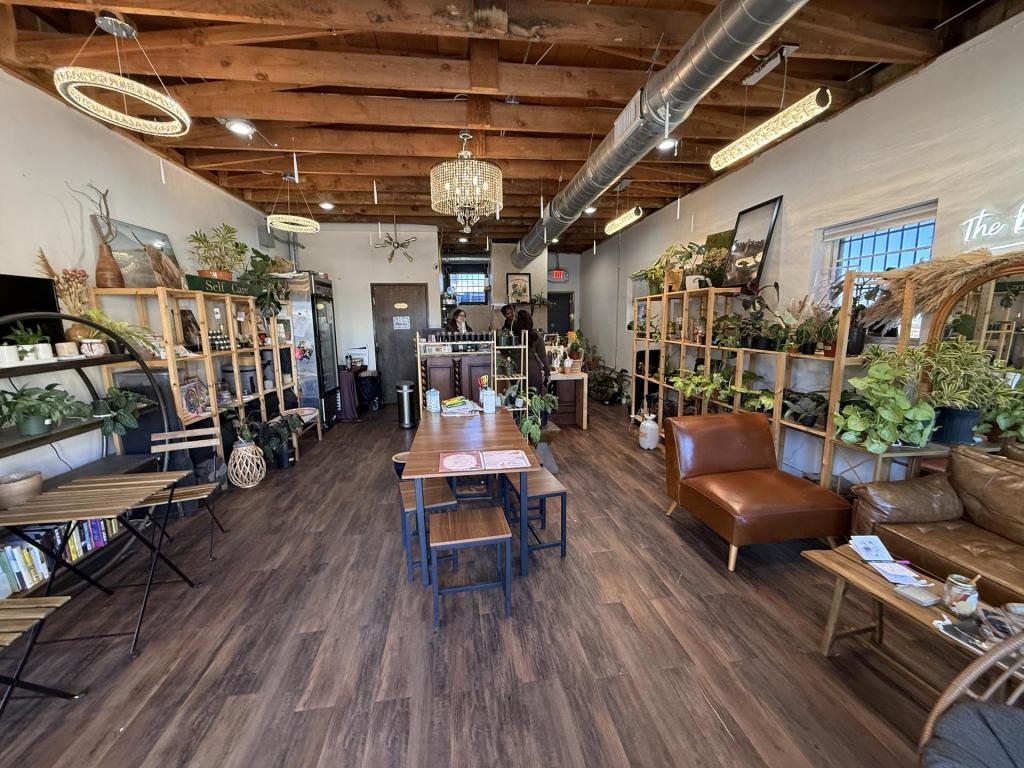 🤧 Been feeling blah? It may be Cedar Fever