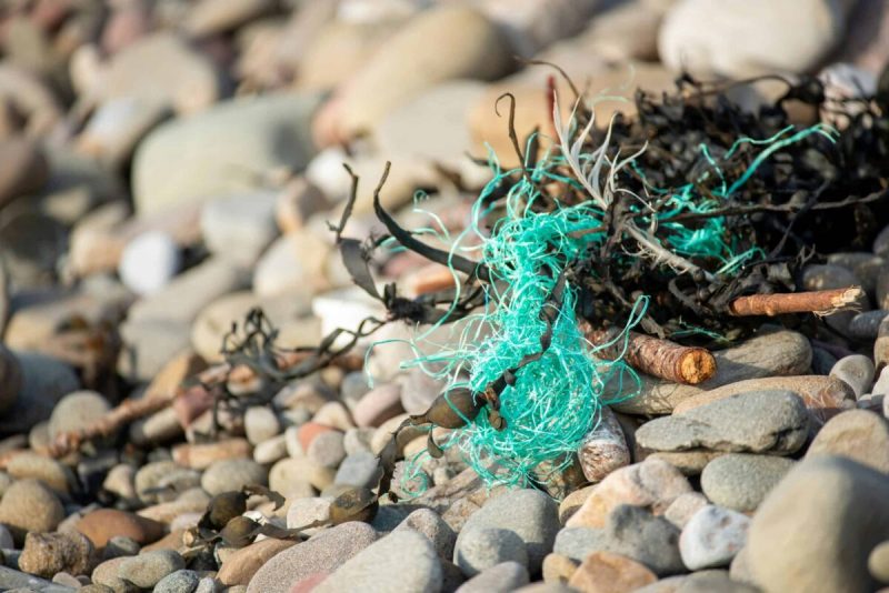 Discarded fishing gear like pots, nets, and traps, can entangle and kill marine life.