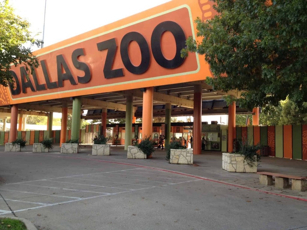 Looking for a budget-friendly outing? Dallas Zoo has $1 tickets on Jul. 16 and Aug. 4
