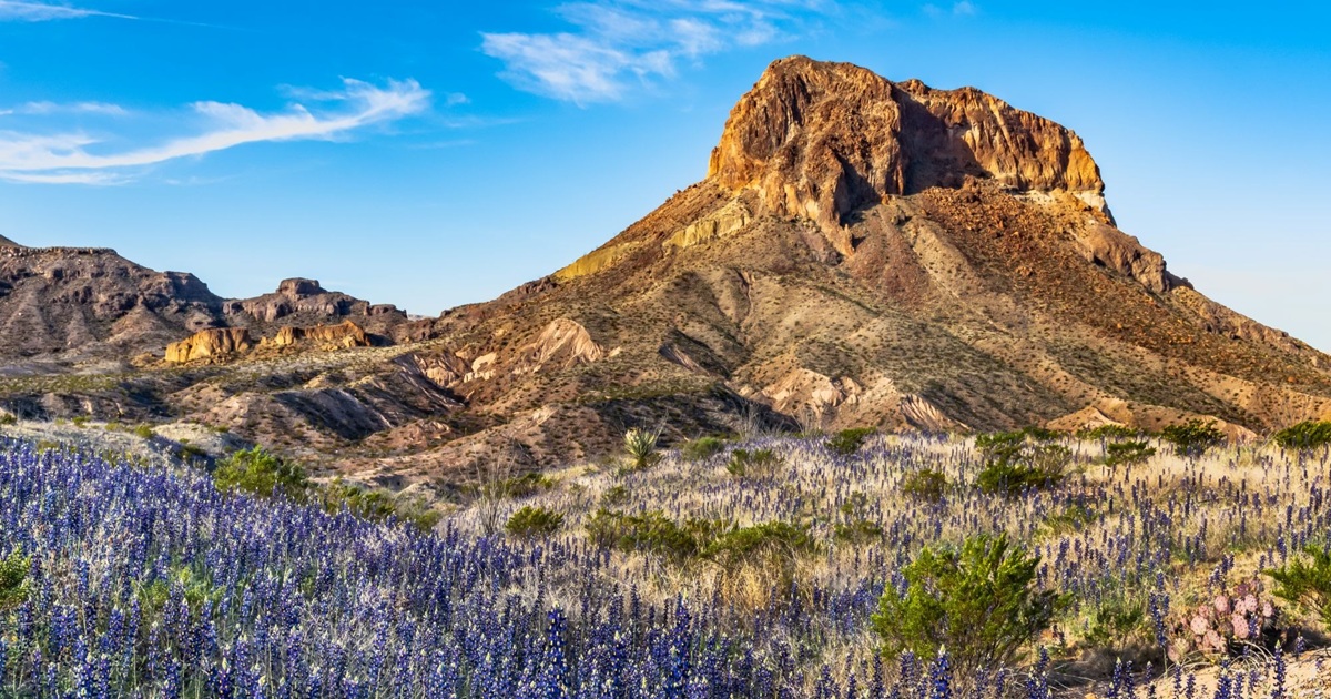 New border wall could stretch across West Texas