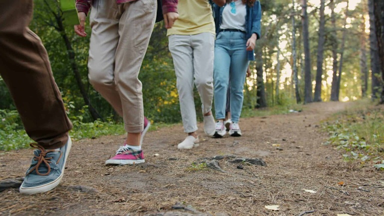 A shot of people walking through the woods during Walk & Talk Social