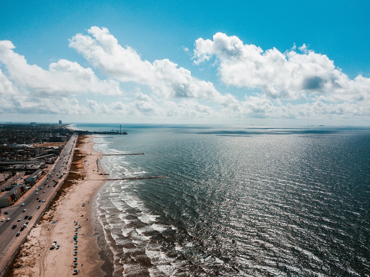 red tide