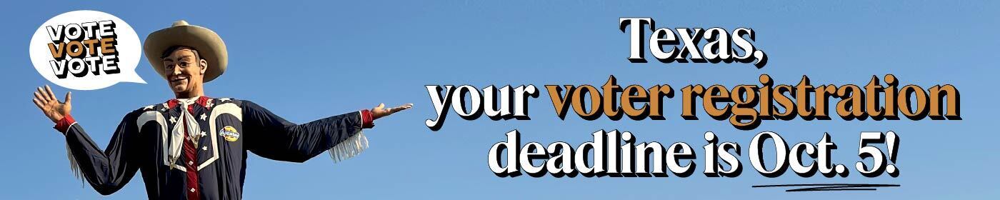 Voter Registration