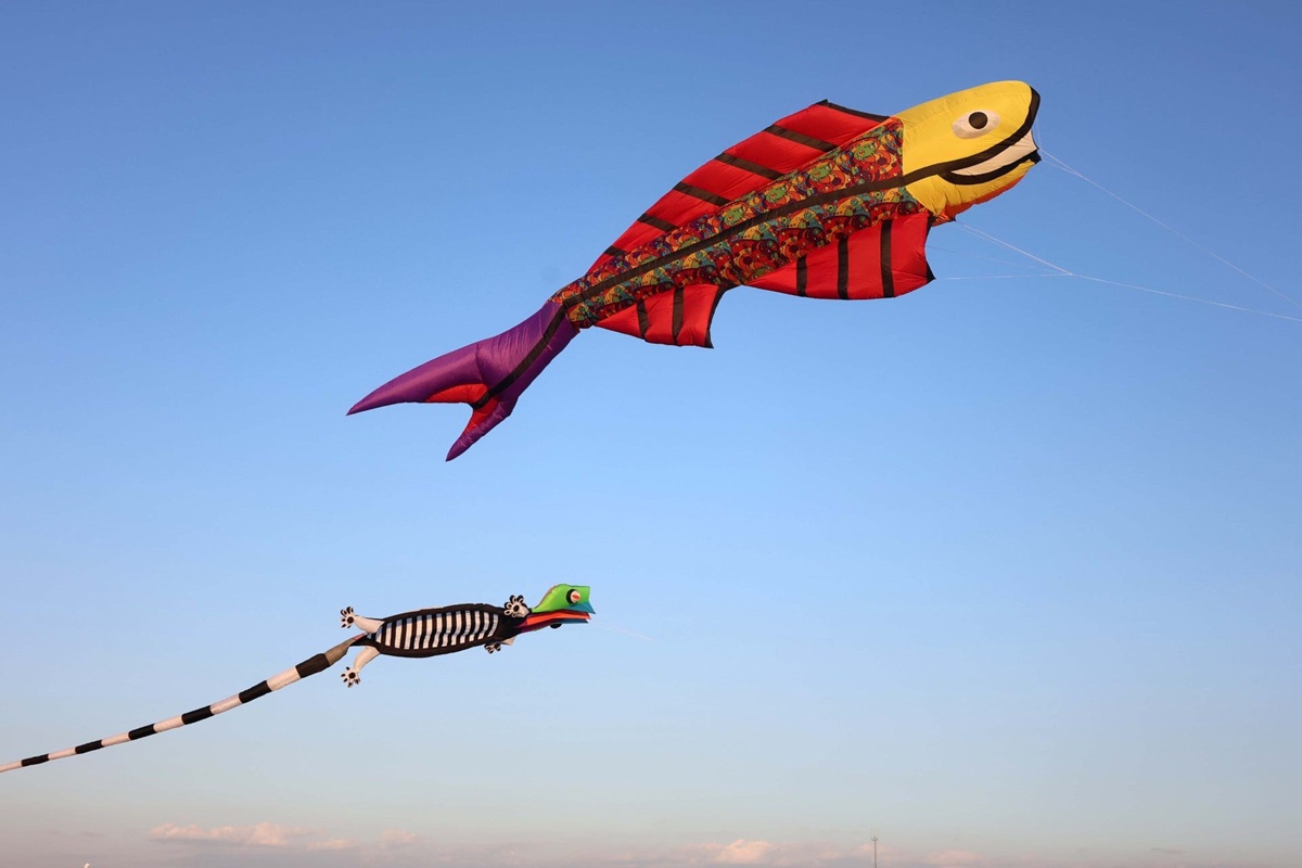 kite collection