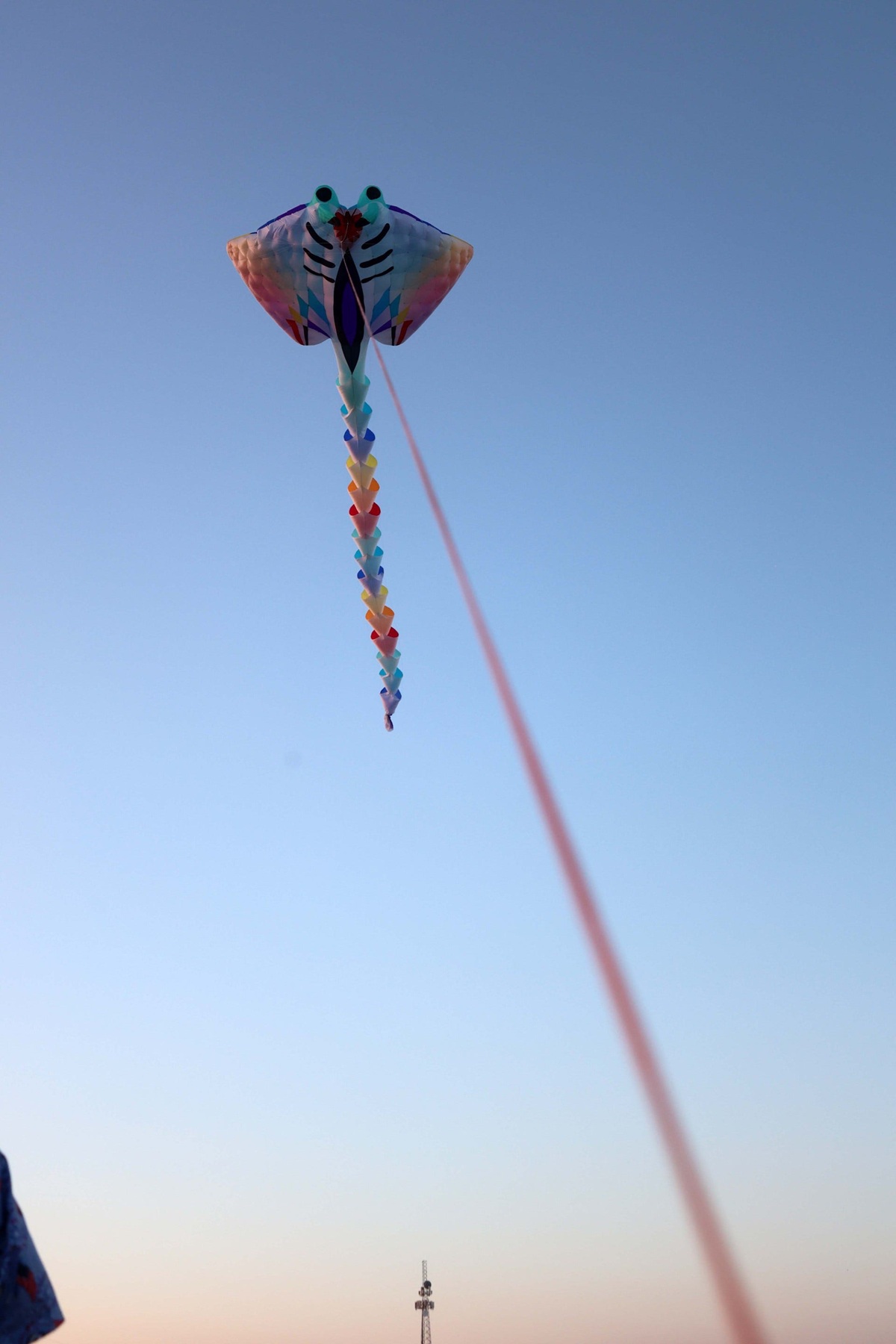 kite collection