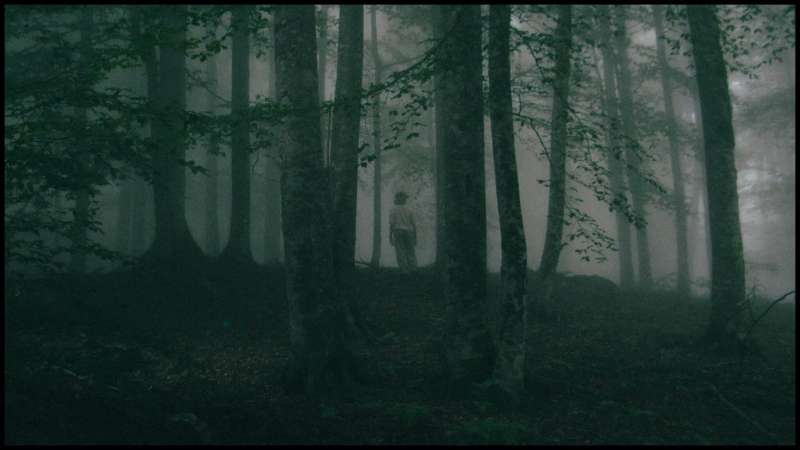 A still from 'You Can’t Leave' shows a ghostly image of a man standing in foggy woods