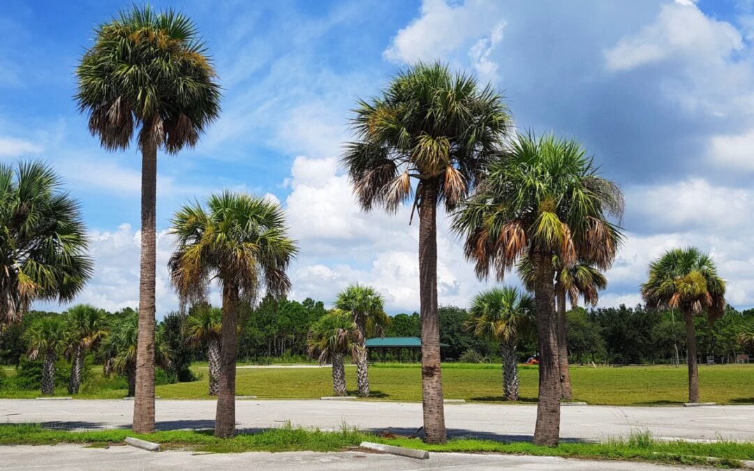 Op-Ed: What I want North Texas to know about border towns