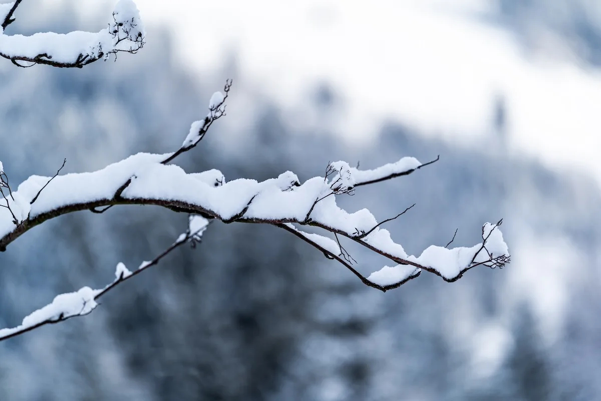 shutterstock_1620820039_jpg_webp shutterstock_1620820039_jpg_webp