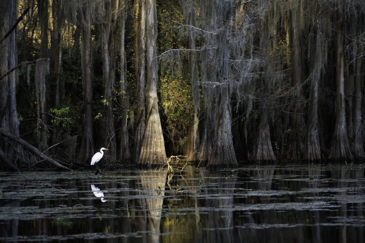 10 Texas towns with funny names