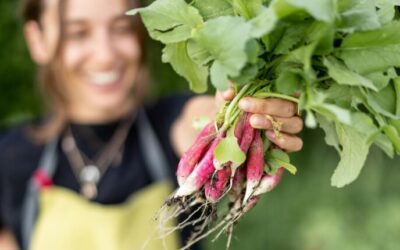 What grows best in Texas? Here’s your ultimate gardening guide