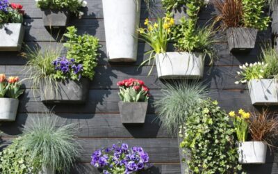 Container Gardening 101: Everything Texas Gardeners Need to Know