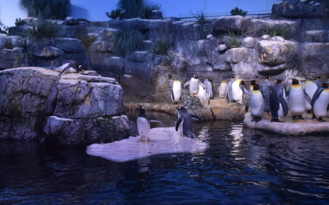 12 day trips just a short drive from Houston