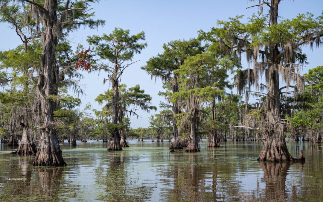 Why are there so many man-made lakes in Texas—and are there any that are naturally occurring?