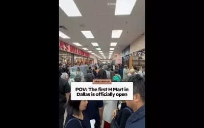 POV: The first H Mart in Dallas is officially open