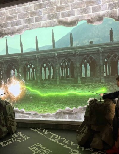 Step into a world full of whimsy, adventure, and friendship at Harry Potter: The Exhibition.