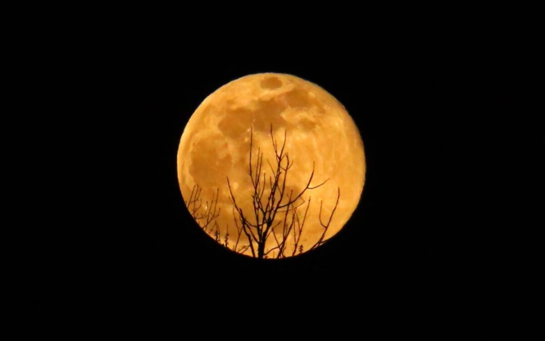 The Beaver supermoon rises over DFW this week. Here’s what you need to know