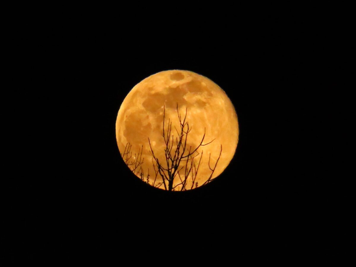 The Beaver Supermoon will illuminate Texas skies November 4-6.