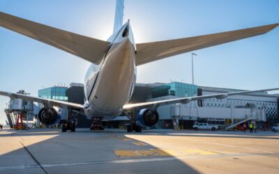 Government shutdown continues to cause long TSA lines, flight delays in Texas as workers go into fifth week without paycheck