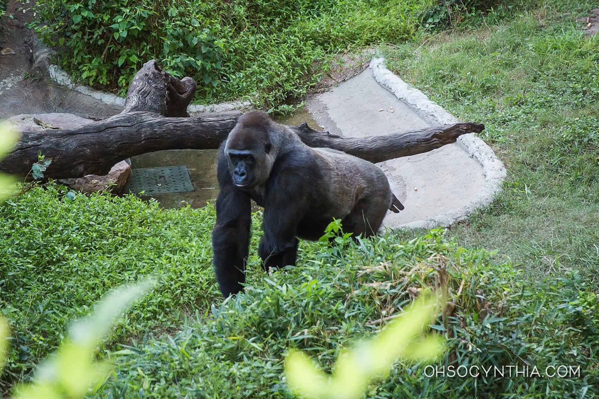 Courier Texas Newsroom