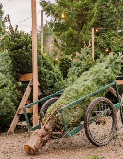 Courier Texas Newsroom