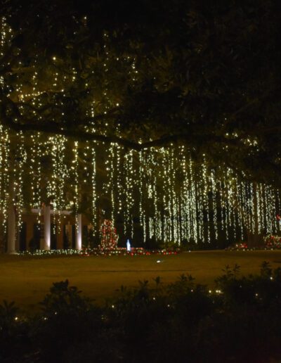Courier Texas Newsroom