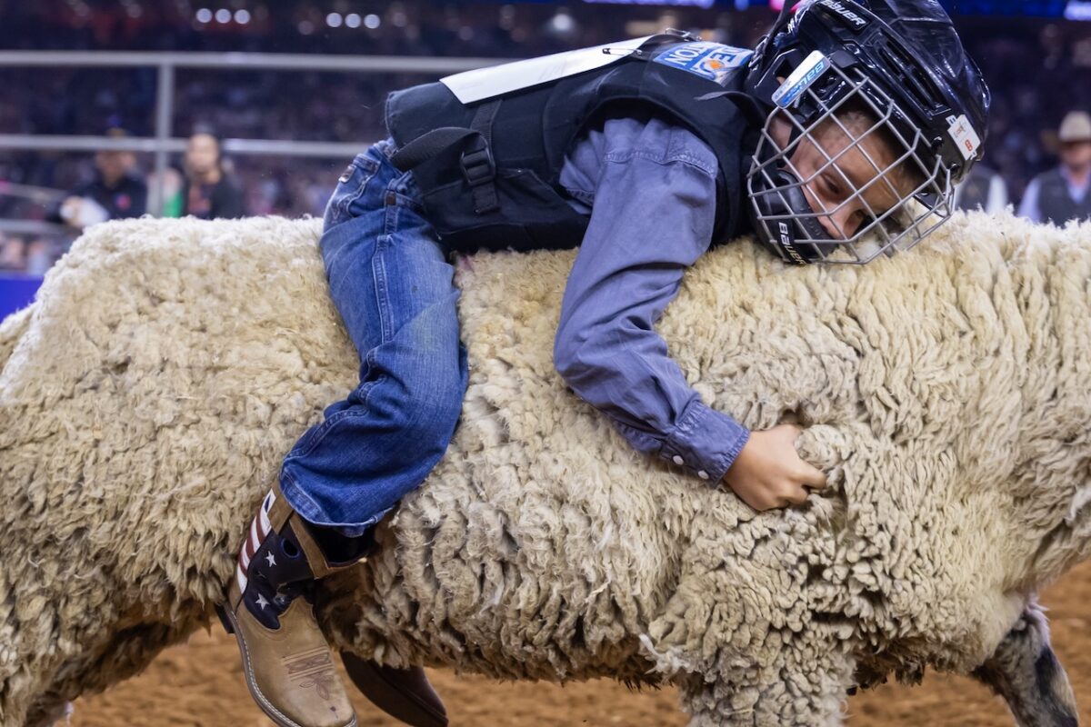 How the Houston Livestock Show and Rodeo went from 2,000 people to millions of visitors in less than a century - Courier Texas