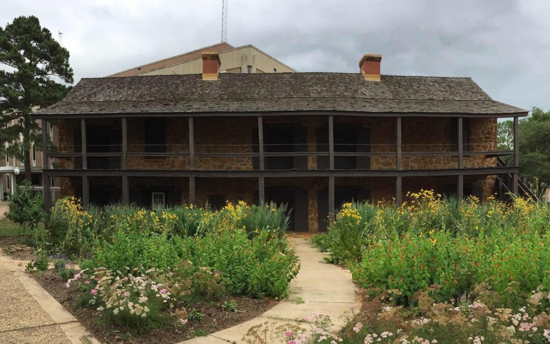 SFA plans to move iconic Stone Fort Museum due to upcoming development projects
