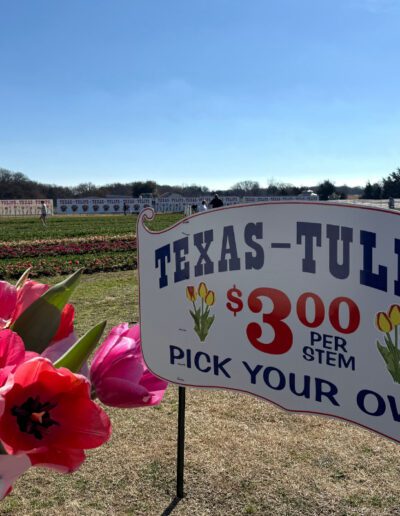 Courier Texas Newsroom