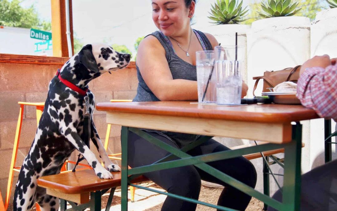 9 dog-friendly restaurants in Dallas-Fort Worth