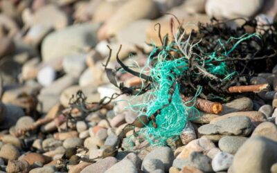 Abandoned fishing gear poses silent threat to marine life along Texas coast
