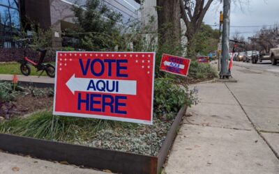 Texans will head back to the polls for these runoff elections in May