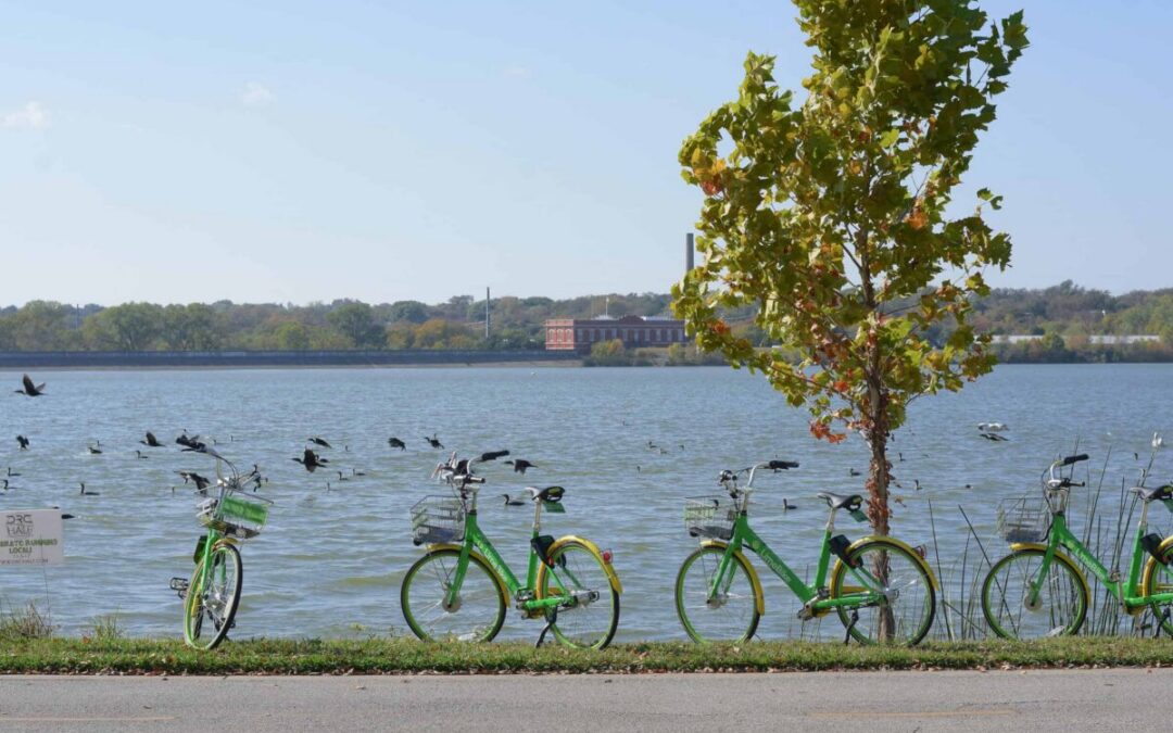 White Rock Lake Trail remains closed after large sinkhole opened along path